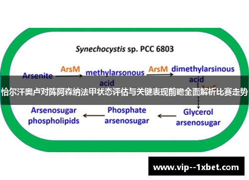 恰尔汗奥卢对阵阿森纳法甲状态评估与关键表现前瞻全面解析比赛走势 恰尔汗奥卢对阵阿森纳法甲状态评估与关键表现前瞻全面解析比赛走势